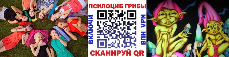 Галлюциногенные грибы MAGIC MUSHROOMS  купить закладку  Буй 
